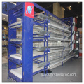 Egg Production Equipment Poultry Farm Chicken Layer Cage for Sale